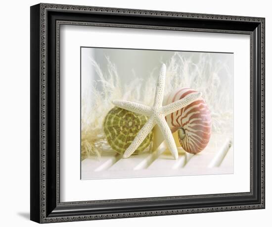 Cali Starfish III-null-Framed Art Print