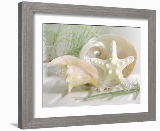 Cali Starfish IV-null-Framed Art Print