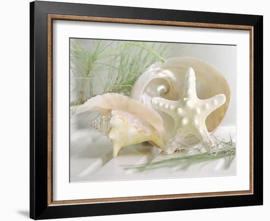 Cali Starfish IV-null-Framed Art Print