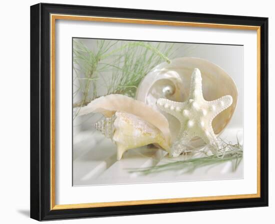 Cali Starfish IV-null-Framed Art Print