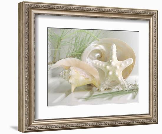 Cali Starfish IV-null-Framed Art Print