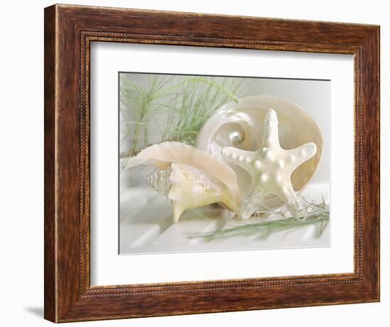 Cali Starfish IV-null-Framed Art Print