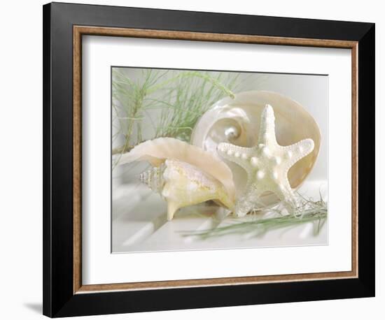 Cali Starfish IV-null-Framed Art Print