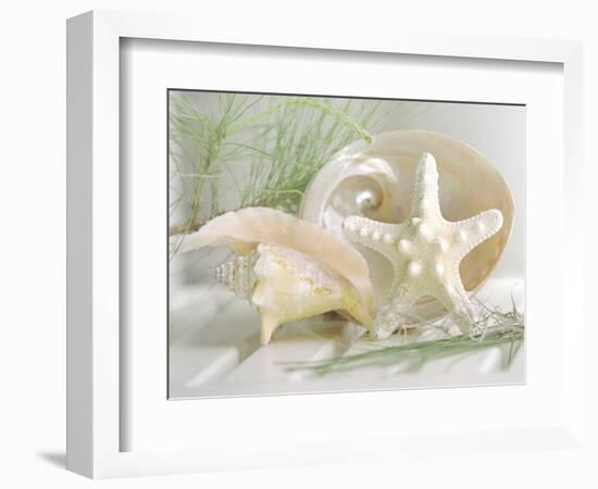 Cali Starfish IV-null-Framed Art Print