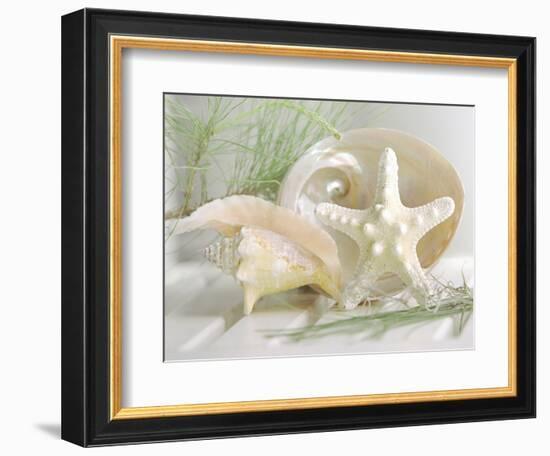 Cali Starfish IV-null-Framed Art Print