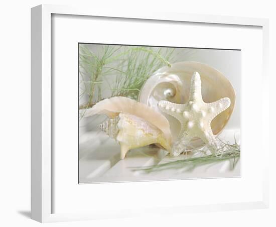 Cali Starfish IV-null-Framed Premium Giclee Print