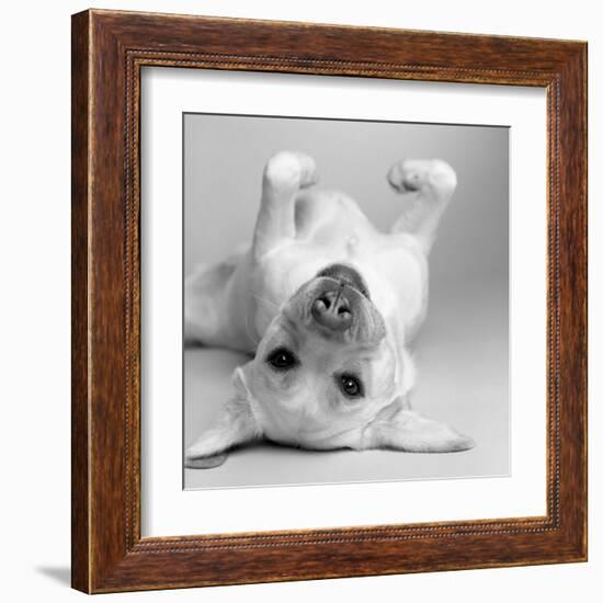 Cali-Amanda Jones-Framed Art Print