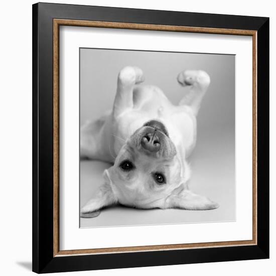 Cali-Amanda Jones-Framed Art Print