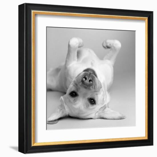 Cali-Amanda Jones-Framed Art Print