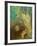 Caliban's Sleep (Shakespeare, the Tempest), 1895-1900-Odilon Redon-Framed Giclee Print