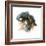 Calico Cat, 2015-John Keeling-Framed Giclee Print