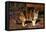 Calico Cat Outside-DLILLC-Framed Premier Image Canvas