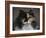 Calico Cat Portrait-Jai Johnson-Framed Giclee Print