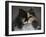 Calico Cat Portrait-Jai Johnson-Framed Giclee Print