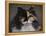 Calico Cat Portrait-Jai Johnson-Framed Premier Image Canvas