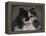 Calico Cat Portrait-Jai Johnson-Framed Premier Image Canvas