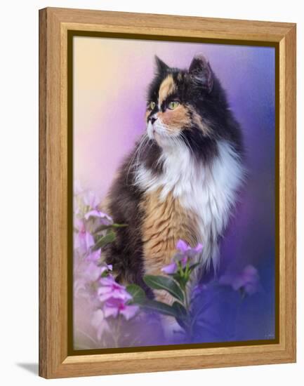 Calico Kitty in the Garden-Jai Johnson-Framed Premier Image Canvas