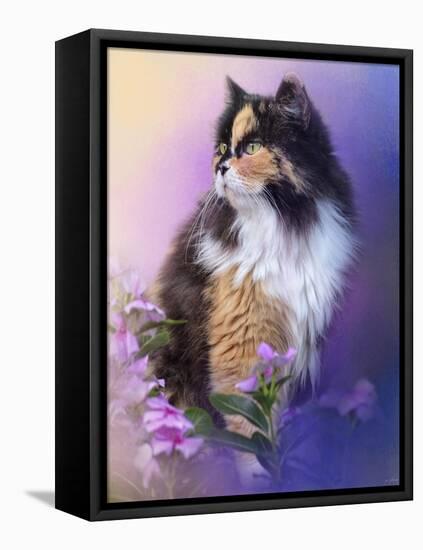 Calico Kitty in the Garden-Jai Johnson-Framed Premier Image Canvas