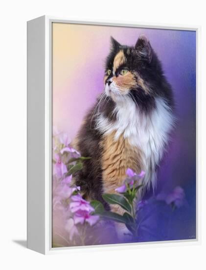 Calico Kitty in the Garden-Jai Johnson-Framed Premier Image Canvas