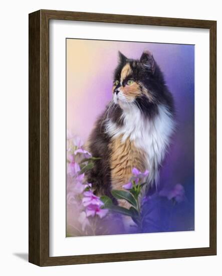 Calico Kitty in the Garden-Jai Johnson-Framed Giclee Print