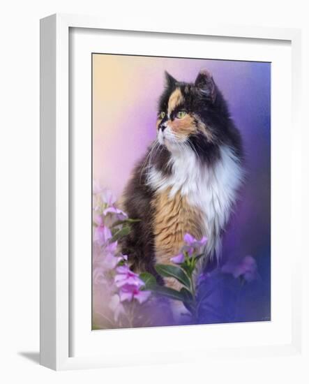 Calico Kitty in the Garden-Jai Johnson-Framed Giclee Print