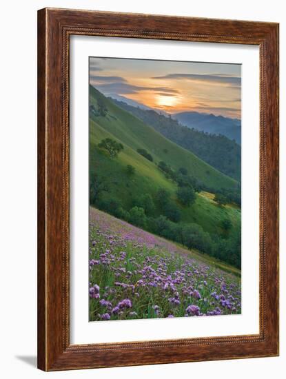 Caliente Bodfish I-Mark Geistweite-Framed Photographic Print