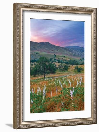 Caliente Bodfish II-Mark Geistweite-Framed Photographic Print