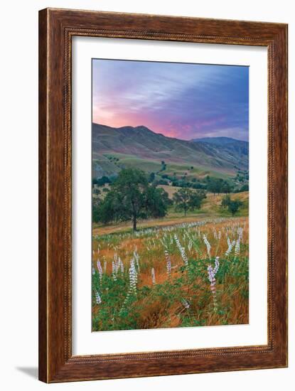 Caliente Bodfish II-Mark Geistweite-Framed Photographic Print