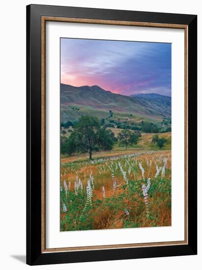 Caliente Bodfish II-Mark Geistweite-Framed Photographic Print