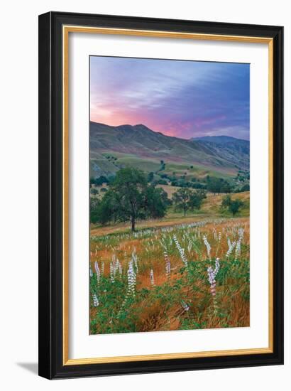 Caliente Bodfish II-Mark Geistweite-Framed Photographic Print