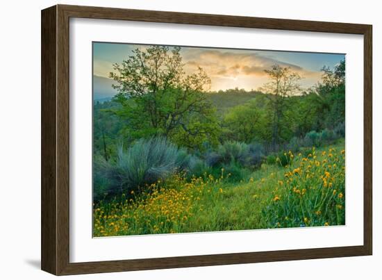 Caliente Spring I-Mark Geistweite-Framed Photographic Print