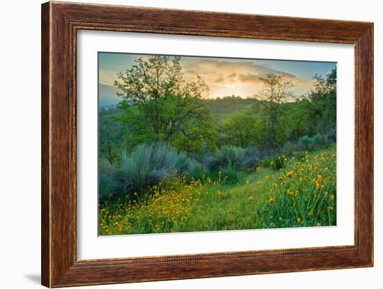 Caliente Spring I-Mark Geistweite-Framed Photographic Print