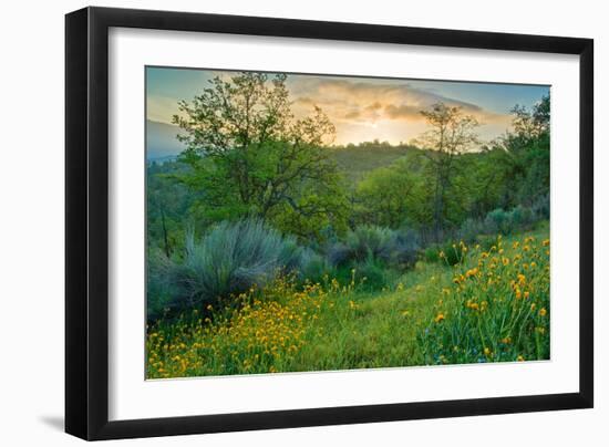 Caliente Spring I-Mark Geistweite-Framed Photographic Print