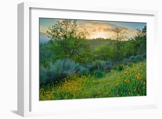 Caliente Spring I-Mark Geistweite-Framed Photographic Print