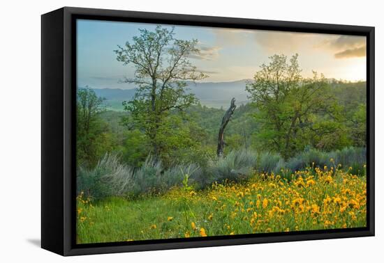 Caliente Spring II-Mark Geistweite-Framed Premier Image Canvas