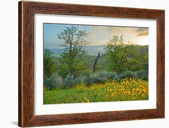 Caliente Spring II-Mark Geistweite-Framed Photographic Print