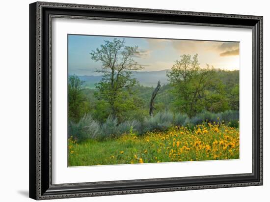 Caliente Spring II-Mark Geistweite-Framed Photographic Print