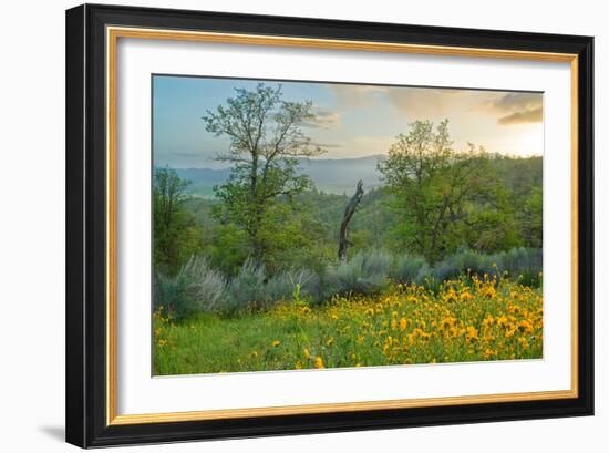 Caliente Spring II-Mark Geistweite-Framed Photographic Print