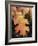 California, an Autumn Colored Oak Leaf in the Forest-Christopher Talbot Frank-Framed Photographic Print