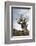 California, Ancient Bristlecone Pine, Shulman Grove-Bernard Friel-Framed Photographic Print