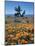 California, Antelope Valley, California Poppy and a Joshua Tree-Christopher Talbot Frank-Mounted Photographic Print