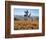 California, Antelope Valley, Joshua Trees in California Poppy-Christopher Talbot Frank-Framed Photographic Print