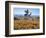 California, Antelope Valley, Joshua Trees in California Poppy-Christopher Talbot Frank-Framed Photographic Print