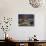 California, Anza Borrego Desert Sp, Backlit Ocotillos and Brittlebush-Christopher Talbot Frank-Photographic Print displayed on a wall