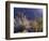 California, Anza Borrego Desert Sp, Backlit Ocotillos and Brittlebush-Christopher Talbot Frank-Framed Photographic Print