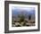 California, Anza Borrego Desert Sp, Brittlebush and Blooming Ocotillo-Christopher Talbot Frank-Framed Photographic Print