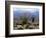 California, Anza Borrego Desert Sp, Brittlebush and Blooming Ocotillo-Christopher Talbot Frank-Framed Photographic Print