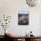 California, Anza Borrego Desert Sp, Calico Cactus, Flowers-Christopher Talbot Frank-Photographic Print displayed on a wall