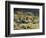 California, Anza Borrego Desert Sp, Cholla Cacti and Ocotillos-Christopher Talbot Frank-Framed Photographic Print