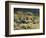 California, Anza Borrego Desert Sp, Cholla Cacti and Ocotillos-Christopher Talbot Frank-Framed Photographic Print